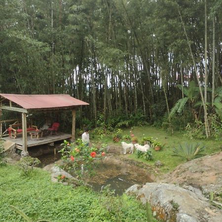 Finca Exclusividad Familiar O Grupo De Amigos Capacidad Hasta 12 Personas Calles En Placa Huella, Caminata Ecologica Alban  Buitenkant foto