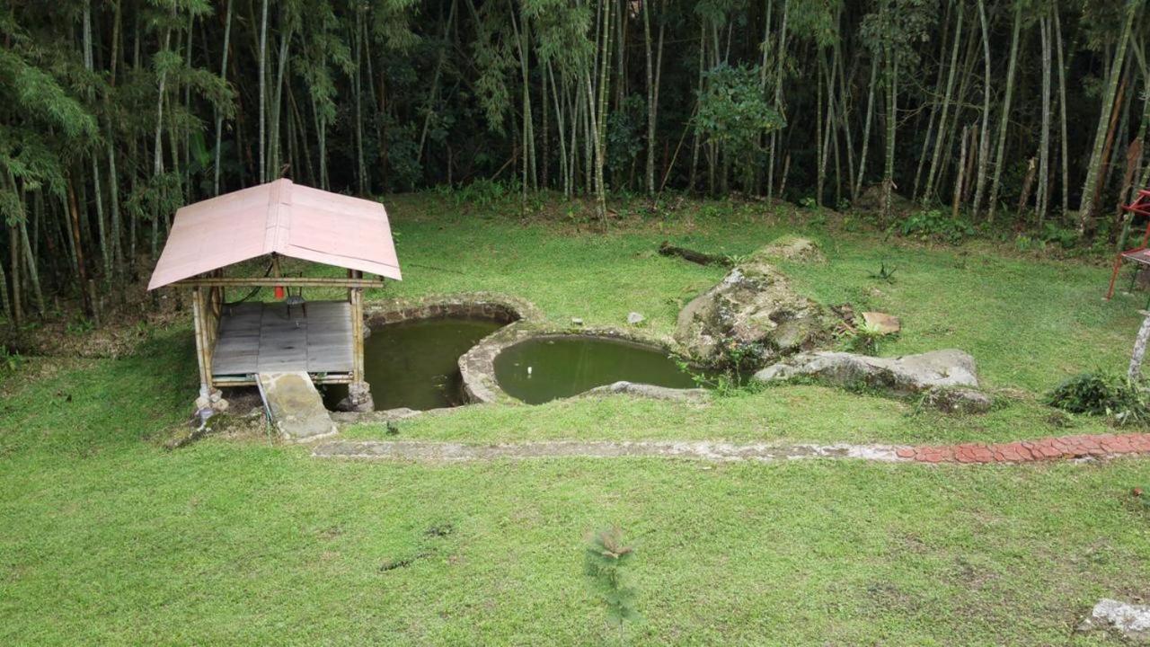 Finca Exclusividad Familiar O Grupo De Amigos Capacidad Hasta 12 Personas Calles En Placa Huella, Caminata Ecologica Alban  Buitenkant foto