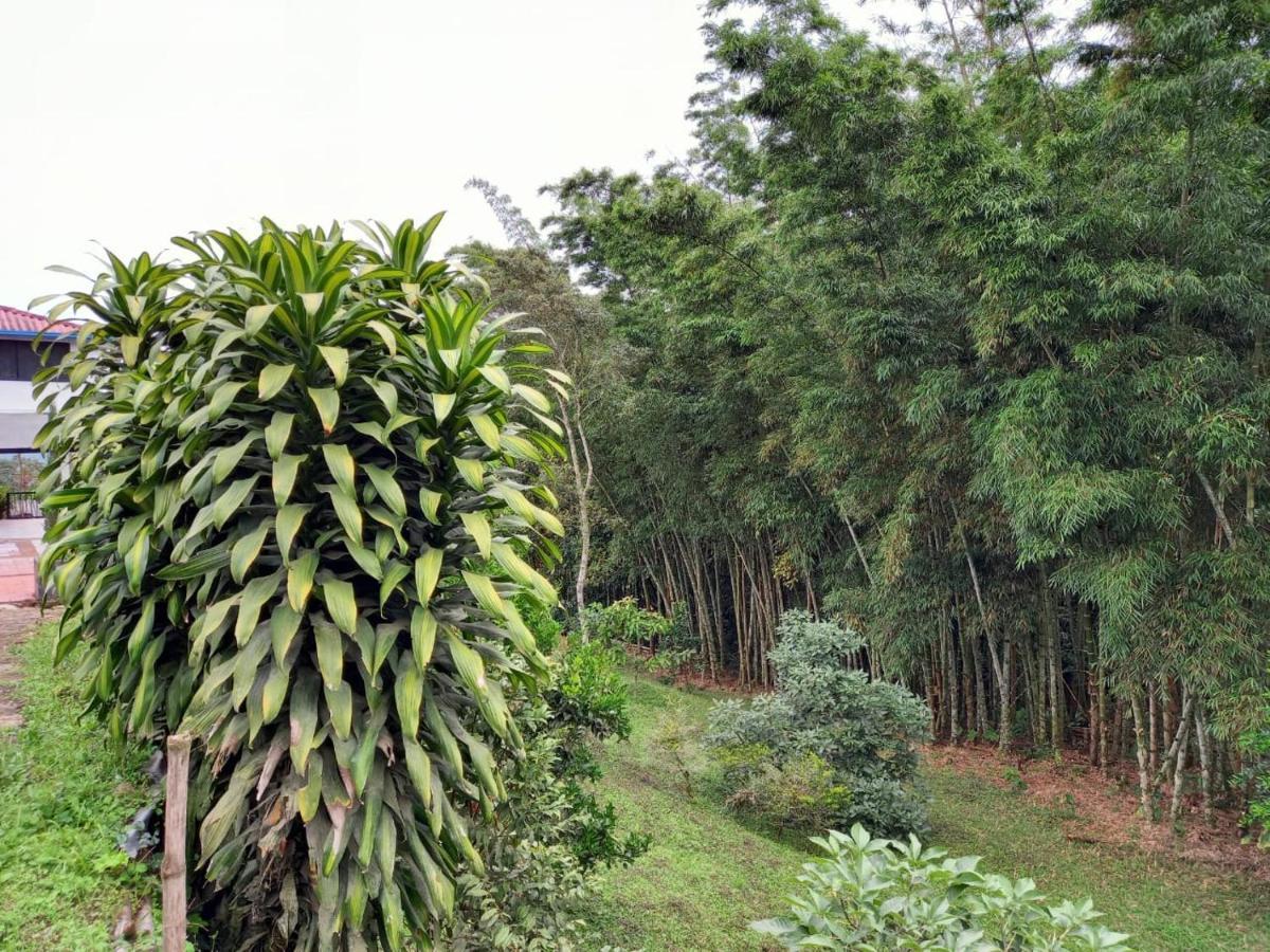 Finca Exclusividad Familiar O Grupo De Amigos Capacidad Hasta 12 Personas Calles En Placa Huella, Caminata Ecologica Alban  Buitenkant foto
