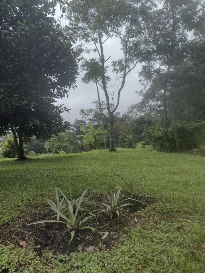 Finca Exclusividad Familiar O Grupo De Amigos Capacidad Hasta 12 Personas Calles En Placa Huella, Caminata Ecologica Alban  Buitenkant foto