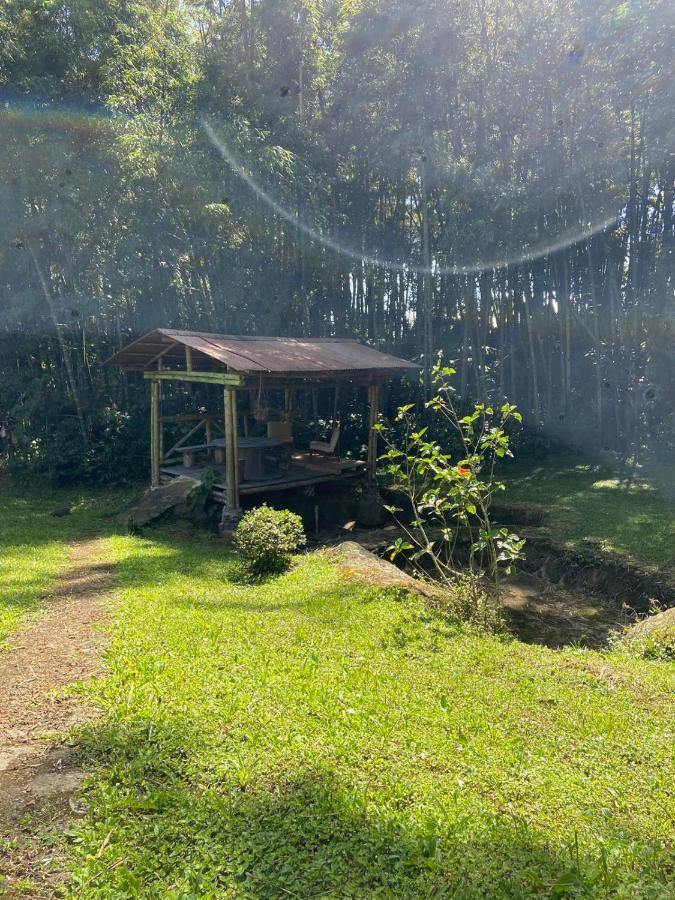 Finca Exclusividad Familiar O Grupo De Amigos Capacidad Hasta 12 Personas Calles En Placa Huella, Caminata Ecologica Alban  Buitenkant foto