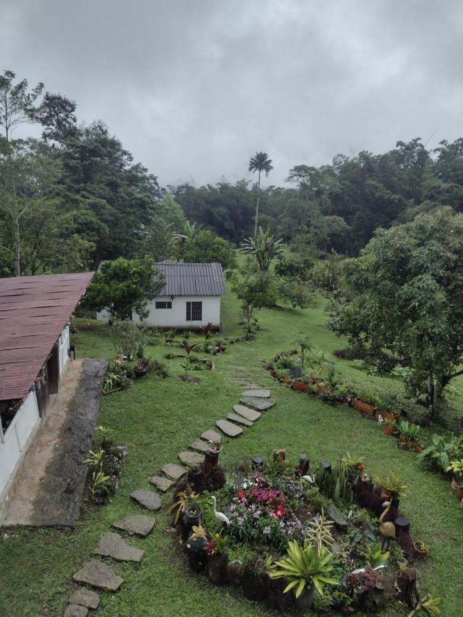 Finca Exclusividad Familiar O Grupo De Amigos Capacidad Hasta 12 Personas Calles En Placa Huella, Caminata Ecologica Alban  Buitenkant foto