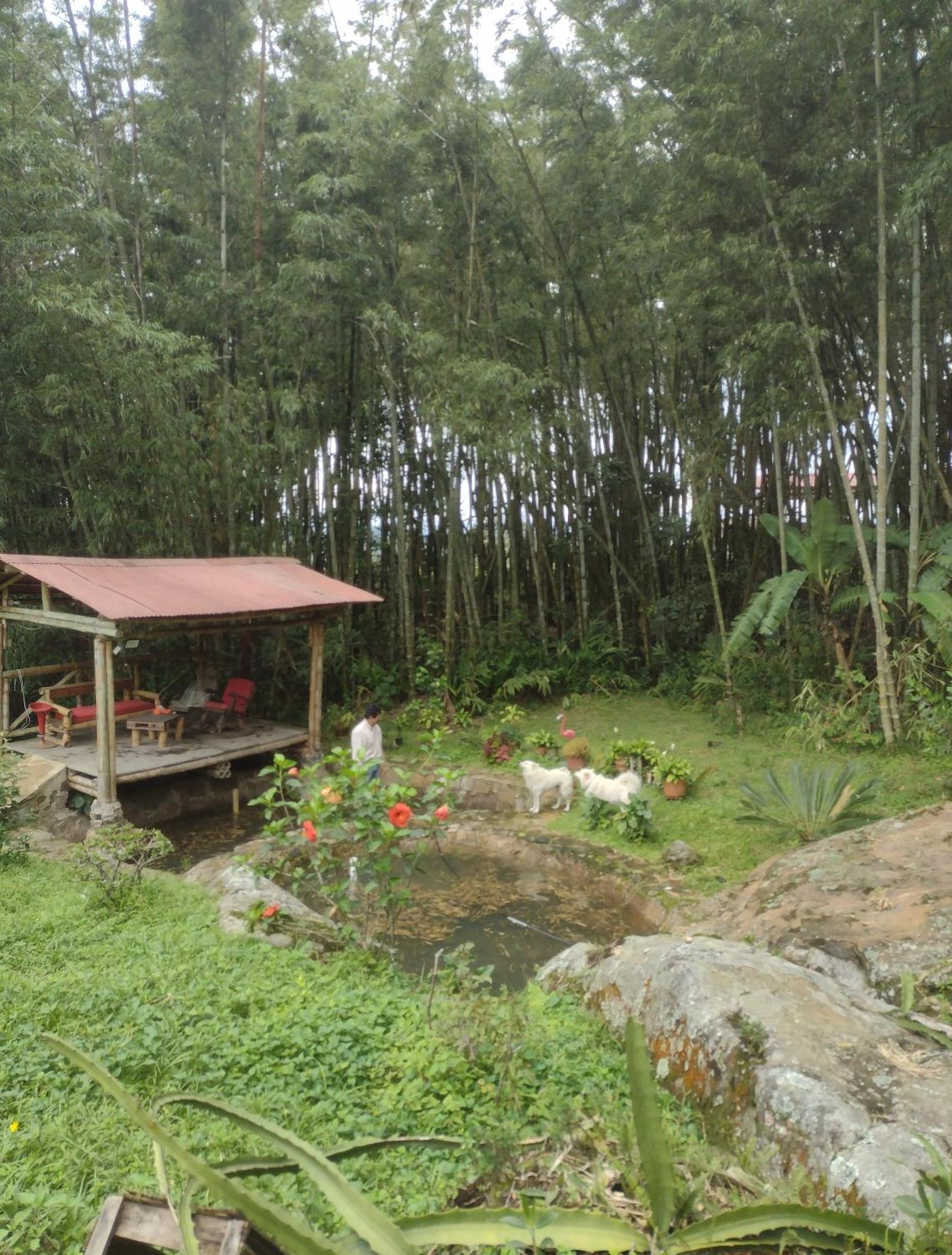 Finca Exclusividad Familiar O Grupo De Amigos Capacidad Hasta 12 Personas Calles En Placa Huella, Caminata Ecologica Alban  Buitenkant foto
