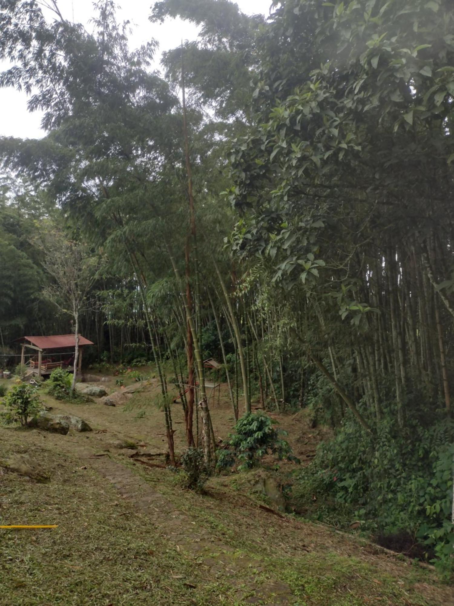 Finca Exclusividad Familiar O Grupo De Amigos Capacidad Hasta 12 Personas Calles En Placa Huella, Caminata Ecologica Alban  Buitenkant foto